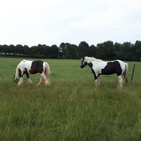 Chalets Op Minicamping Dorpszicht Gapinge ภายนอก รูปภาพ