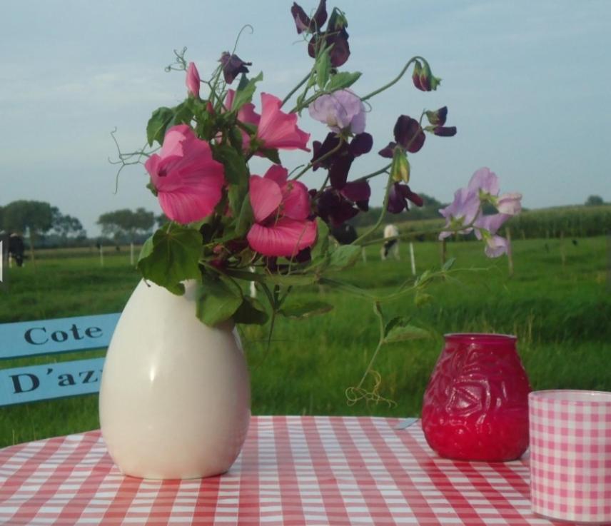 Chalets Op Minicamping Dorpszicht Gapinge ภายนอก รูปภาพ